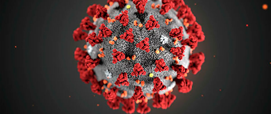新型冠状病毒打破了全球闲置集装箱运力的新纪录