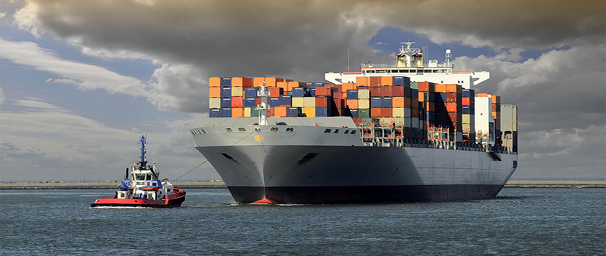 装货卸货全程无人!青岛港自动化码头为世界港口升级提供“中国样本”